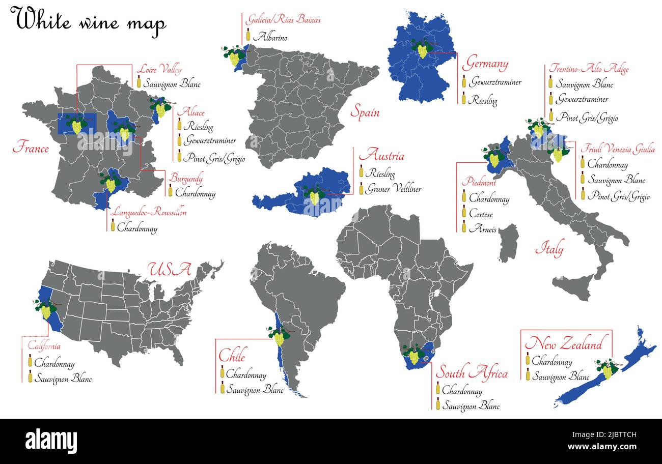 Weißweinkarte. Karte zur Weinproduktion mit Rebsorten. Regionen des Weinanbaus für die Weinproduktion. Stock Vektor