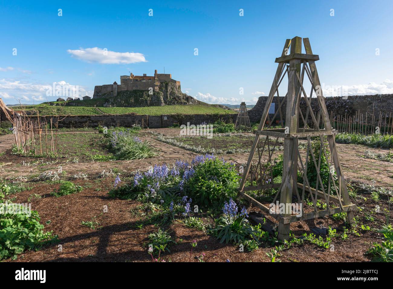 Gertrude Jekyll Garden, Blick auf den ummauerten Garten auf der Insel Lindisfarne, entworfen von Gertrude Jekyll im Jahr 1911, Northumberland Coast, England Stockfoto