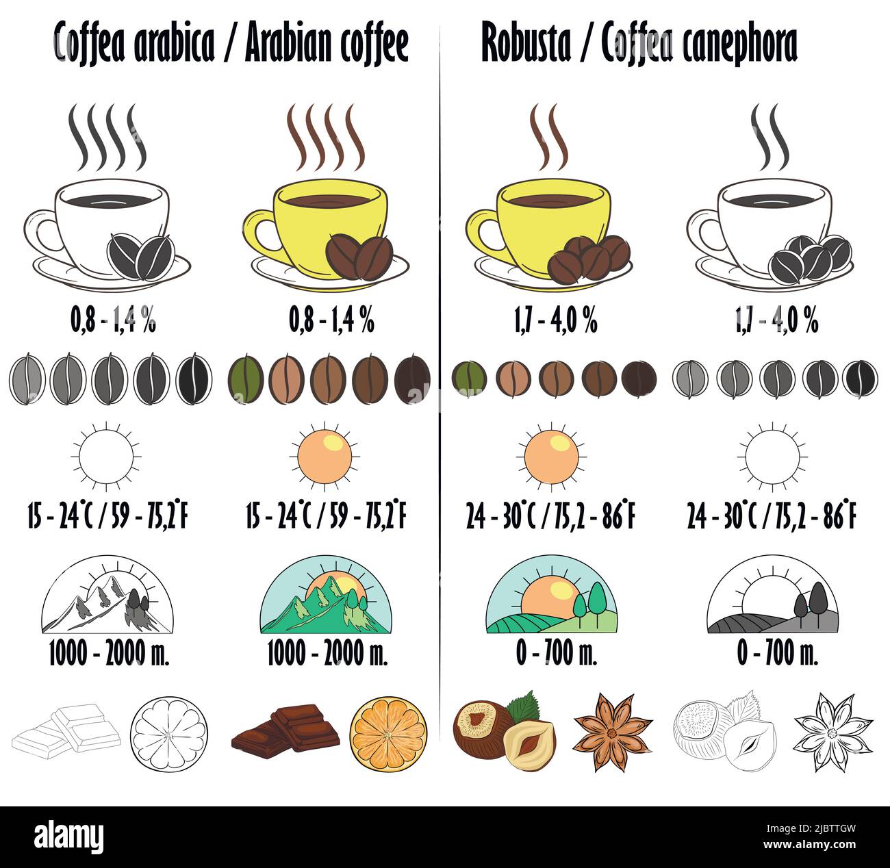 Arabica und Robusta. Arten von Kaffee mit einer Beschreibung in Form von Symbolen des Wachstums, Menge an Koffein, Aroma, optimale Temperatur für die Reifung Stock Vektor