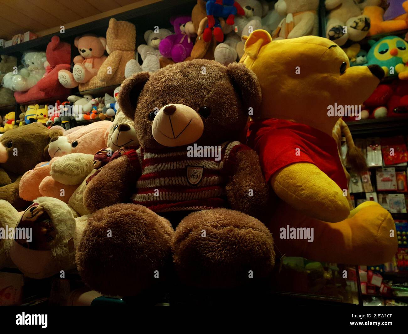 Portraitbilder von Teddybären in verschiedenen Farben. Stockfoto