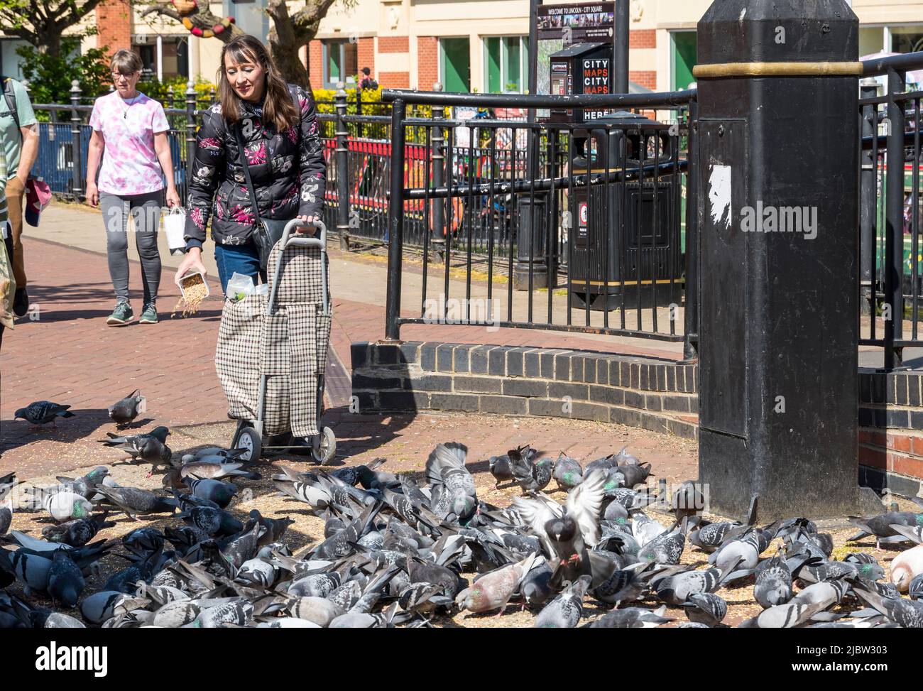 Lady Fütterung Tauben Marktplatz am Fluss witham lincoln Stadt 2022 Stockfoto