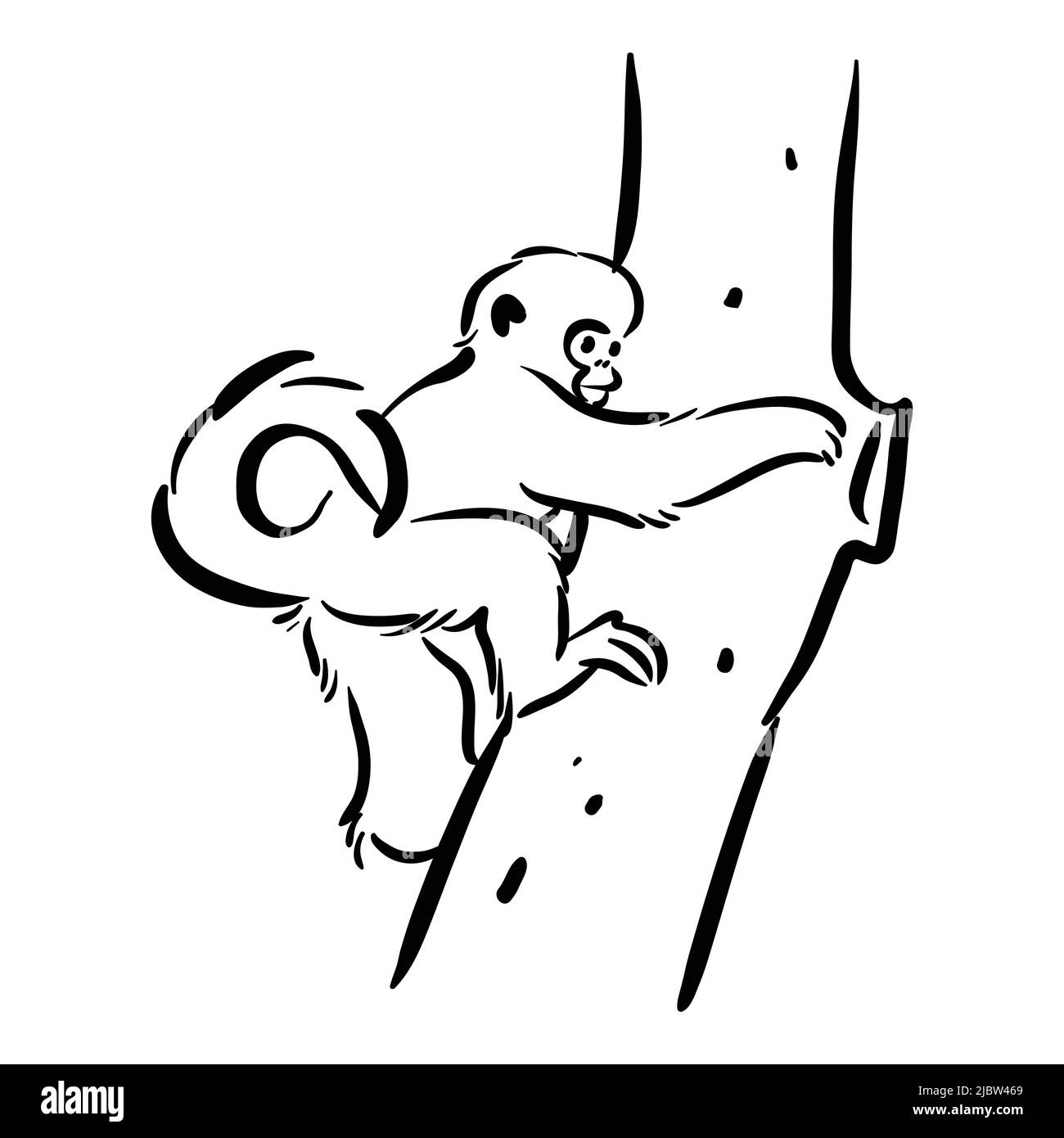 Affe auf Baum Clip Art Zeichnung Stock Vektor