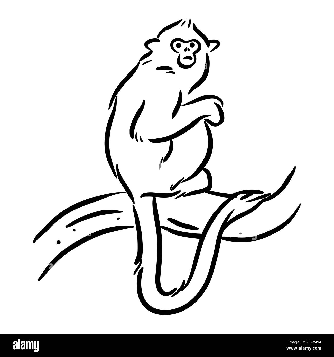 Goldener Löwe Tamarin- Affen- Linienkunst Stock Vektor