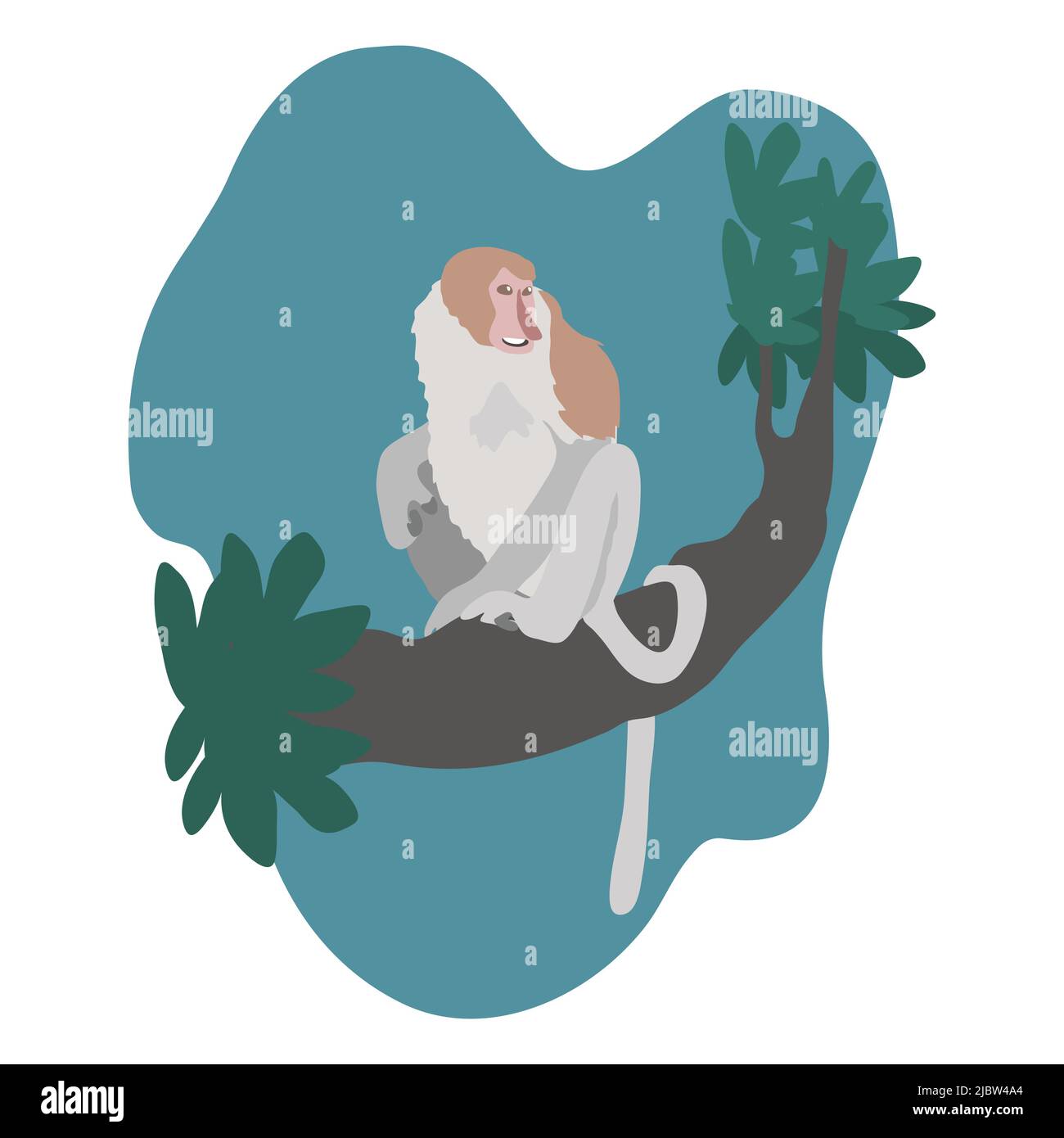Proboscis Affe- lange Nase Affe- Illustration. Stock Vektor