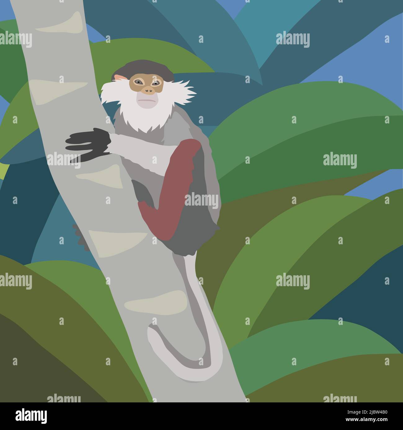 Rot-shanked douc langur Illustration. Affen Clip Art. Stock Vektor