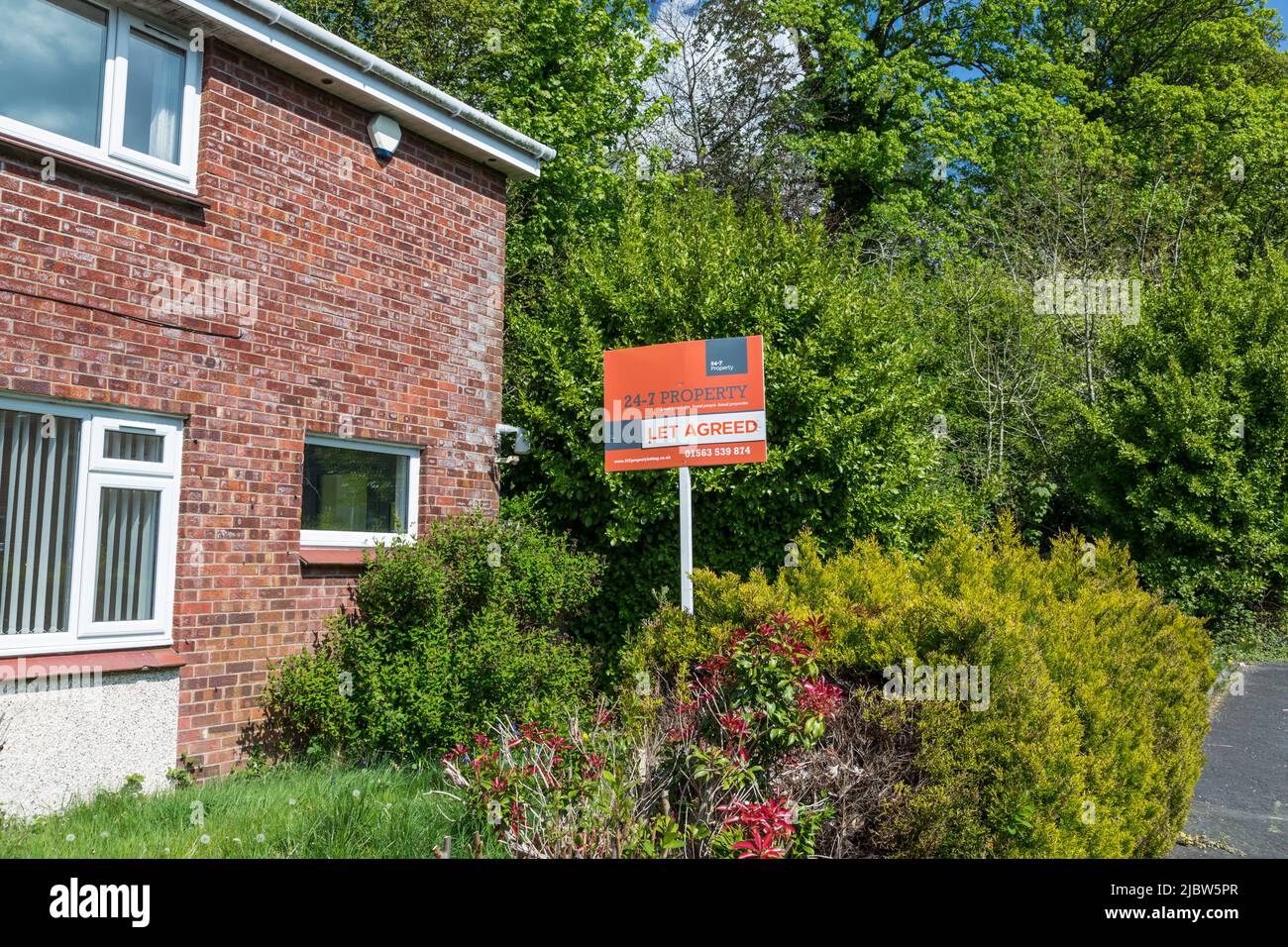 Immobilienmakler mit einem Let-Vereinbarungszeichen vor einem Haus, Schottland, Großbritannien, Europa Stockfoto