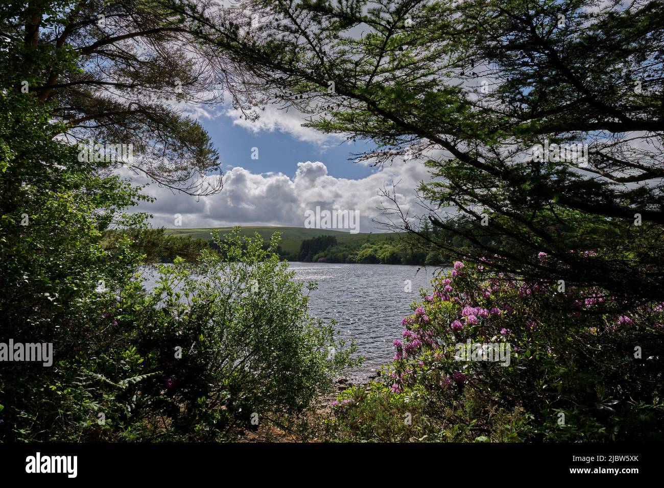 UK Wetter: 08 Jun 2022, wechselhaftes Wetter, Dartmoor National Park, Devon, UK. Kredit: Will Tudor/Alamy Live Nachrichten Stockfoto