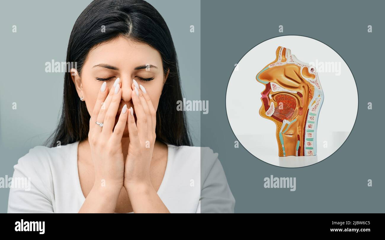 Ungesunde Frau, die ihre Hände an der Nase hält, weil sie eine Kieferhöhlenentzündung hat. Sinusitis, Frontitis Stockfoto