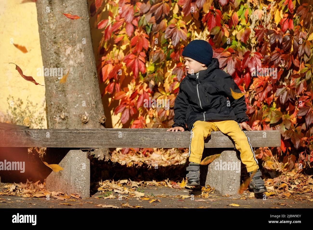 Outdoor Herbstporträt von niedlichen traurigen Jungen, mit blauer Mütze trägt schwarze Jacke, im Herbst Park, sitzt auf der Bank, rot fallende Blätter in backgroun Stockfoto