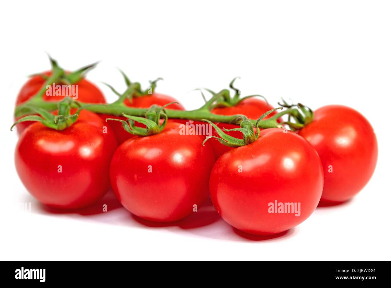 Weintomaten isoliert vor weißem Hintergrund Stockfoto