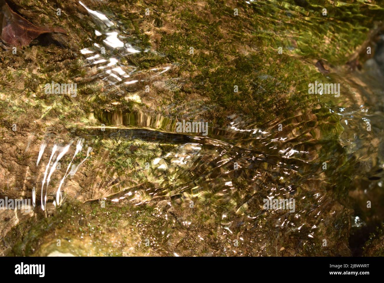 Das fließende Wasser Stockfoto