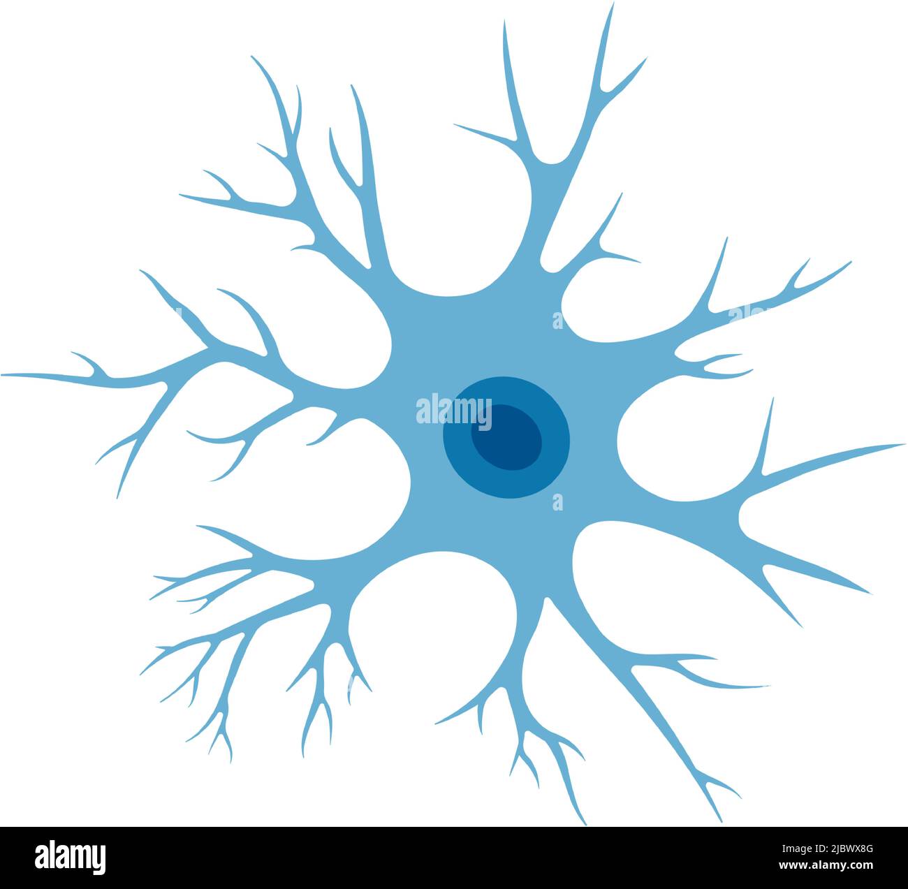 Abbildung der menschlichen Nervenzellen. Hirnneuronstruktur. Zellkörper, Zellkern, Axon und Dendriten. Illustration für Neurologie Stock Vektor