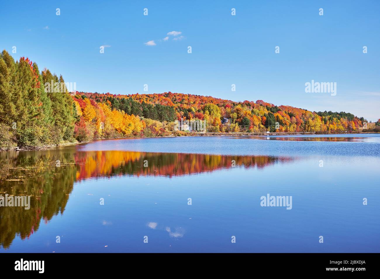 See mit farbenfrohem Wald in der Herbstsaison, Estrie, Quebec, Kanada, 2019 Stockfoto