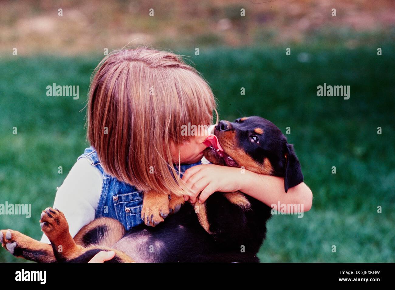 Ein junges Mädchen, das mit einem rottweiler Welpen kuschelt Stockfoto