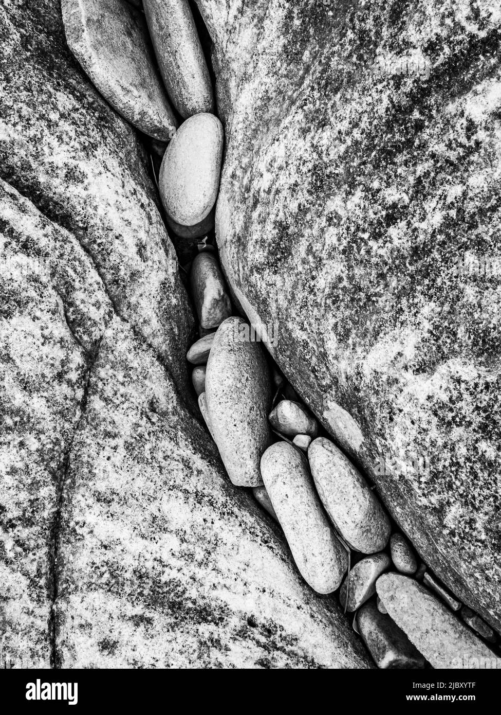 Black & White, Beach Rocks auf Pebble Island, Falkland Islands Stockfoto