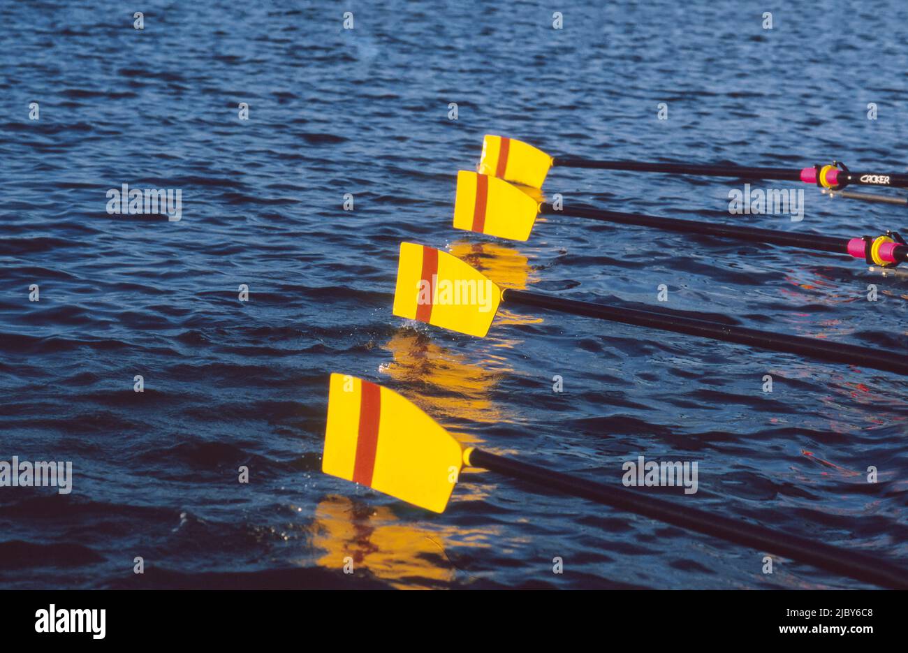 Set mit vier Rudern auf dem Wasser Stockfoto