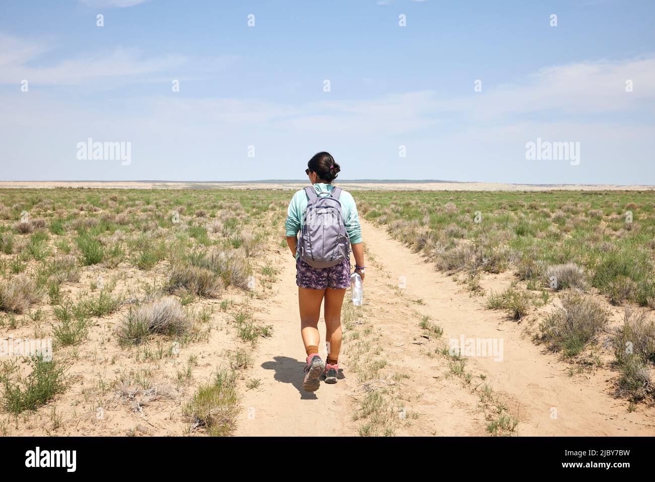 Olivfarbene Hügel. Das Wasser in diesem Gebiet ist knapp und es gibt keine Wanderwege; jedoch ist das Gebiet landschaftlich reizvoll und enthält weiche Farben, die man sonst kaum sieht Stockfoto