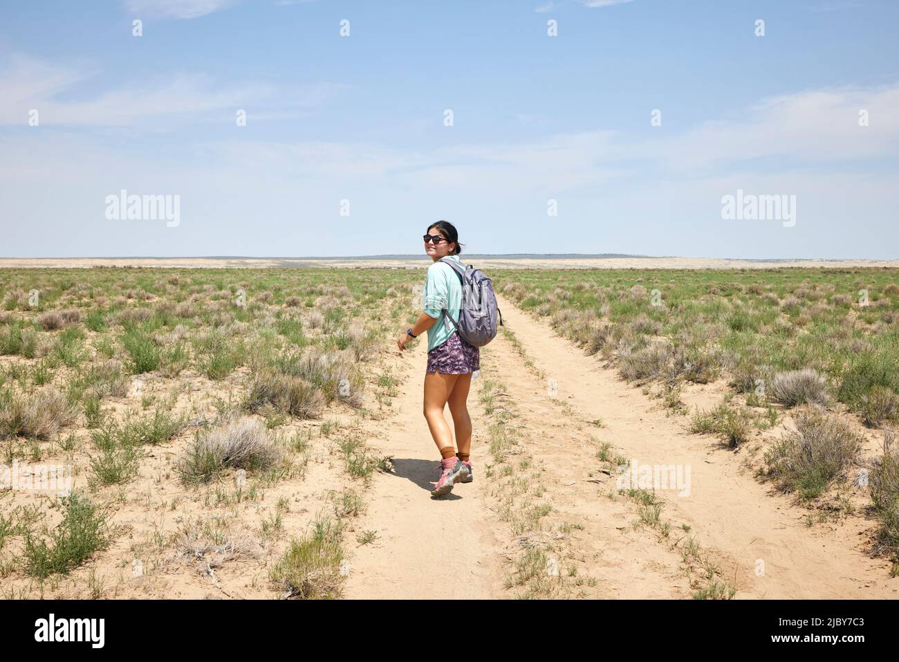 Olivfarbene Hügel. Das Wasser in diesem Gebiet ist knapp und es gibt keine Wanderwege; jedoch ist das Gebiet landschaftlich reizvoll und enthält weiche Farben, die man sonst kaum sieht Stockfoto
