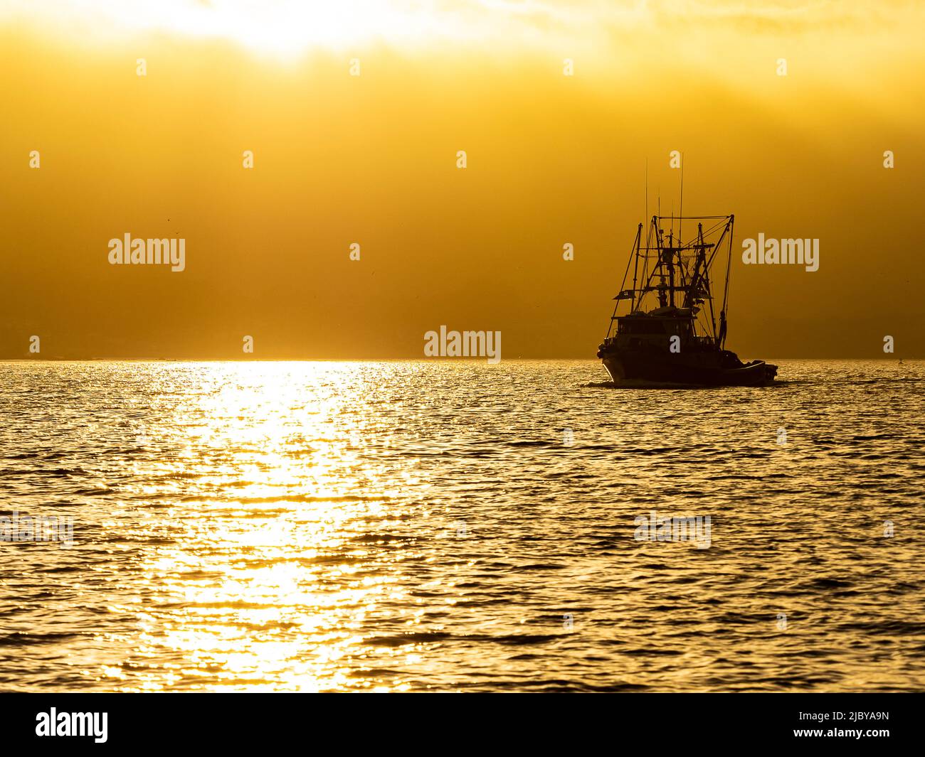 Kein richtiges Refugium, Tintenfischboote in Monterey Bay, Monterey Bay National Marine Refuge, Kalifornien Stockfoto