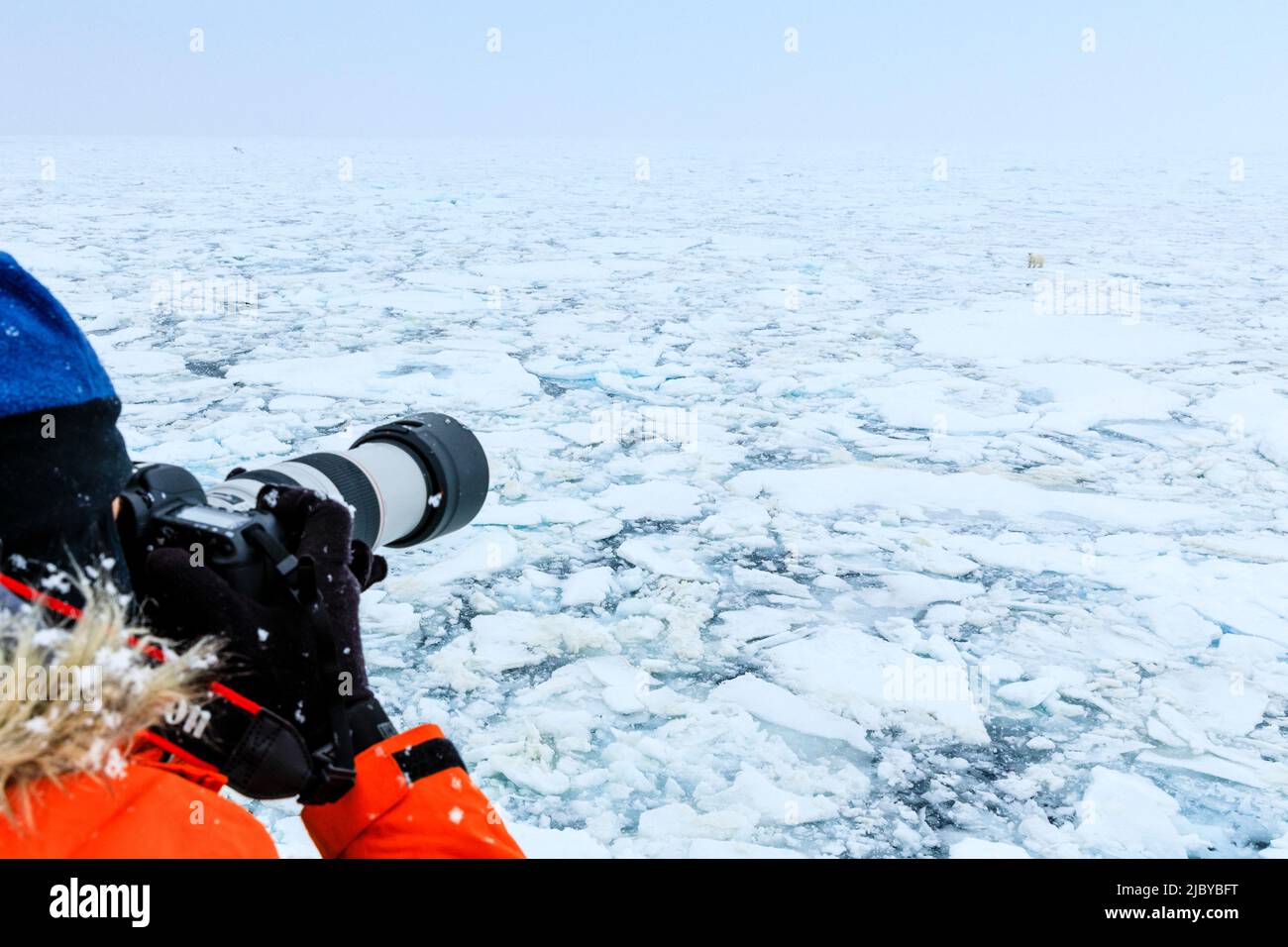 Fotograf und Eisbär (Ursus maritimus) auf dem Packeis, Arktischer Ozean, Hinlopenstraße, Spitzbergen, Norwegen Stockfoto