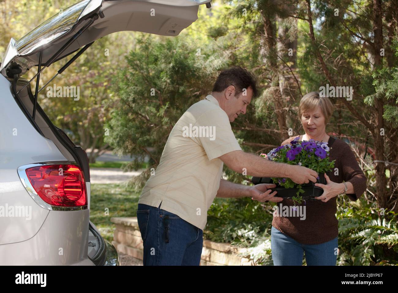 Ehemann hilft Frau mit Tablett mit Blumen Stockfoto