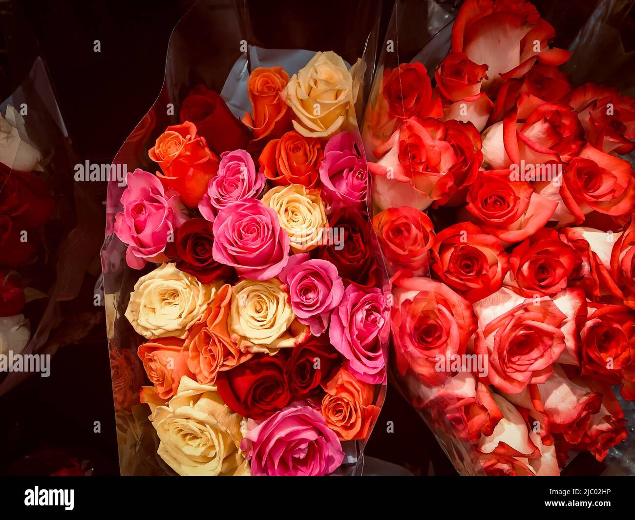 Verkauf verpackter Rosen in verschiedenen Farben zum Verkauf in einem Retil-Blumengeschäft Stockfoto