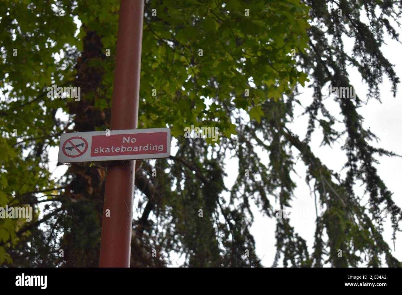 Schild: 'No Skateboarding' auf einem Beitrag vor einem Hintergrund von Bäumen mit Copyspace. Stockfoto