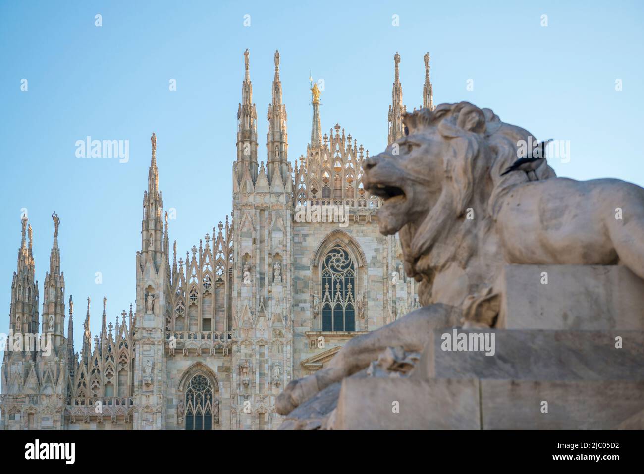 Mailänder Dom und Löwenstatue mit Sonnenlicht in der Lombardei, Italien. Stockfoto