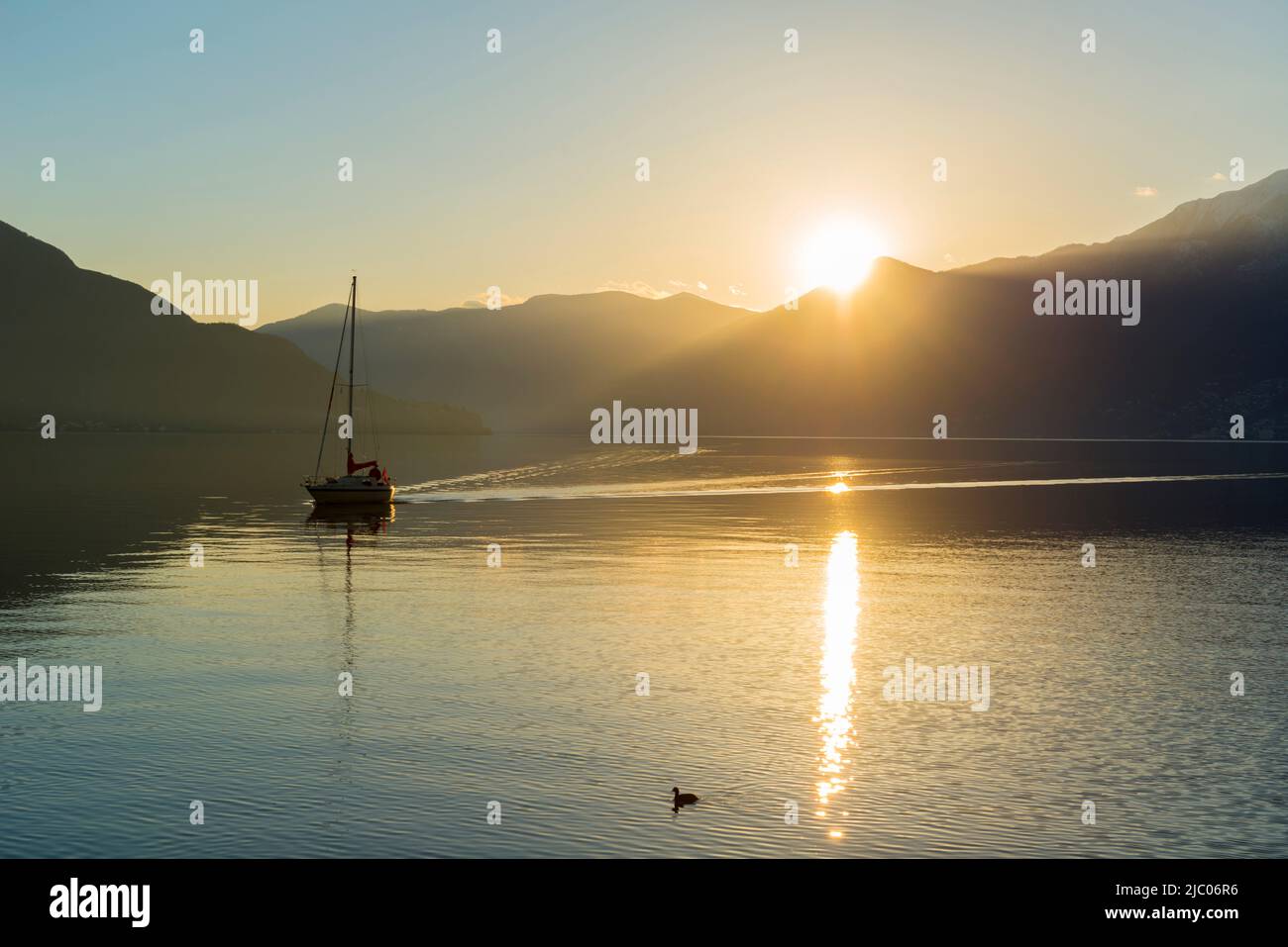 Segelschiff auf dem Alpinen Lago Maggiore mit Berg in Sonnenuntergang in Ascona, Schweiz. Stockfoto