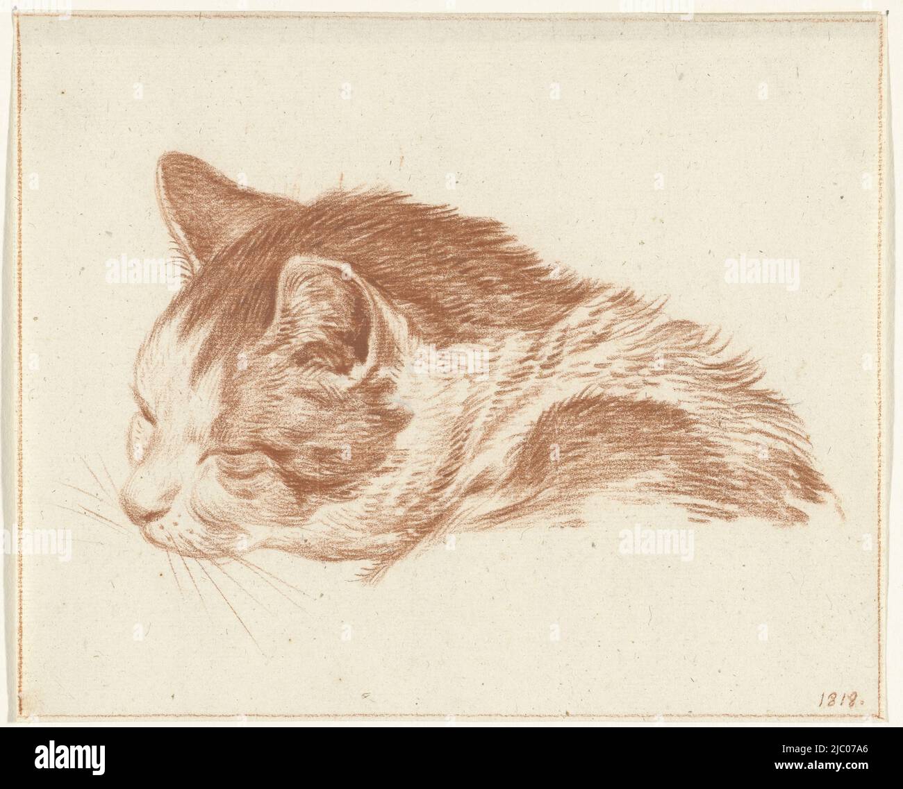 Kopf einer schlafenden Katze, Zeichner: Jean Bernard, 1818, Papier, H 157 mm × B 193 mm Stockfoto