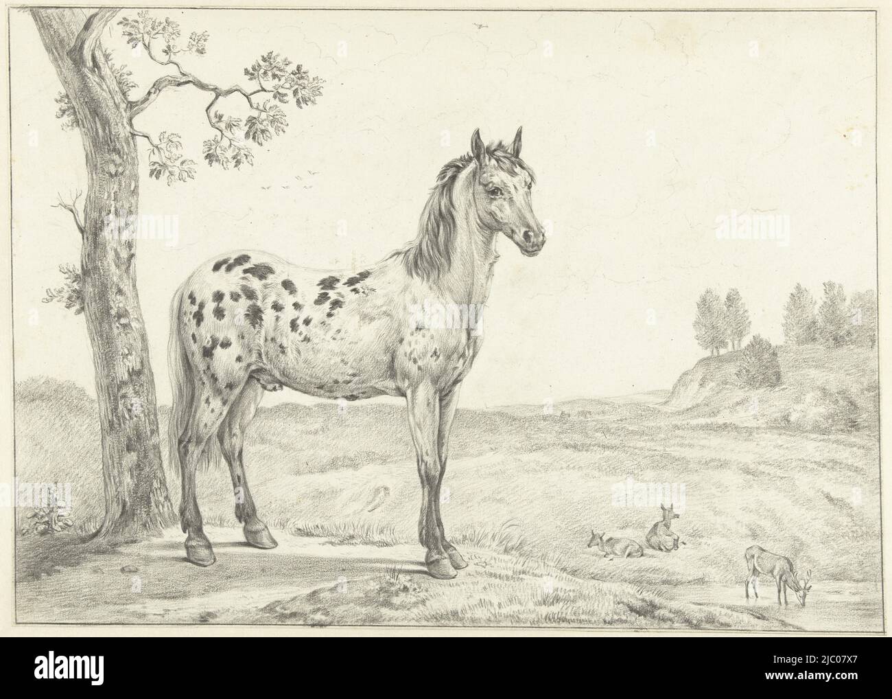 Im Stehen getupftes Pferd, rechts, in einer Landschaft, Zeichner: Jean Bernard, 1775 - 1833, Papier, H 308 mm × B 430 mm Stockfoto