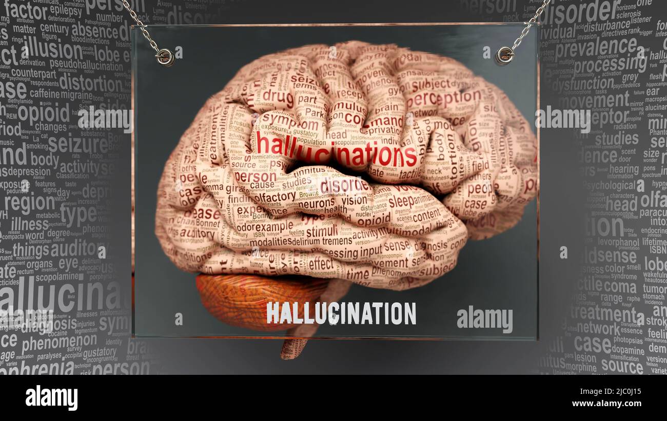 Halluzination im menschlichen Gehirn - Dutzende von wichtigen Begriffen, die Halluzinationseigenschaften beschreiben, gemalt über den Hirnrinde, um Halluzination zu symbolisieren Stockfoto
