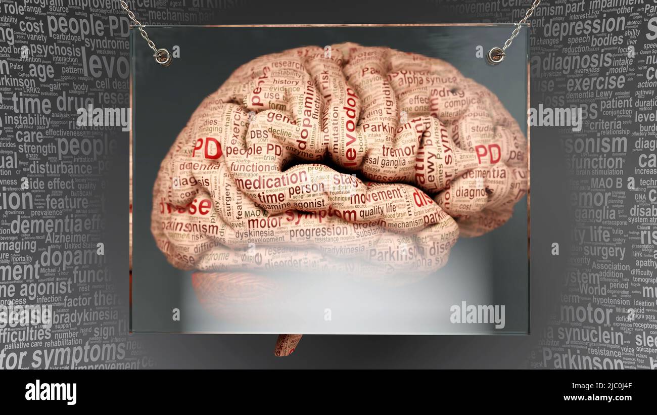 Parkinson-Krankheit im menschlichen Gehirn - Dutzende von Begriffen, die ihre Eigenschaften beschreiben, gemalt über den Hirnrinde, um seine Verbindung zum Geist zu symbolisieren.,3 Stockfoto
