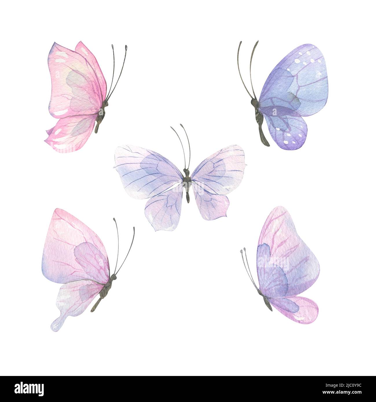 Aquarell-Illustration zartrosa-lila Schmetterlinge. Eine Reihe von verschiedenen Formen und Farben. Luftig, leicht, sanft. Für Bannerdesign, Postkarten, c Stockfoto