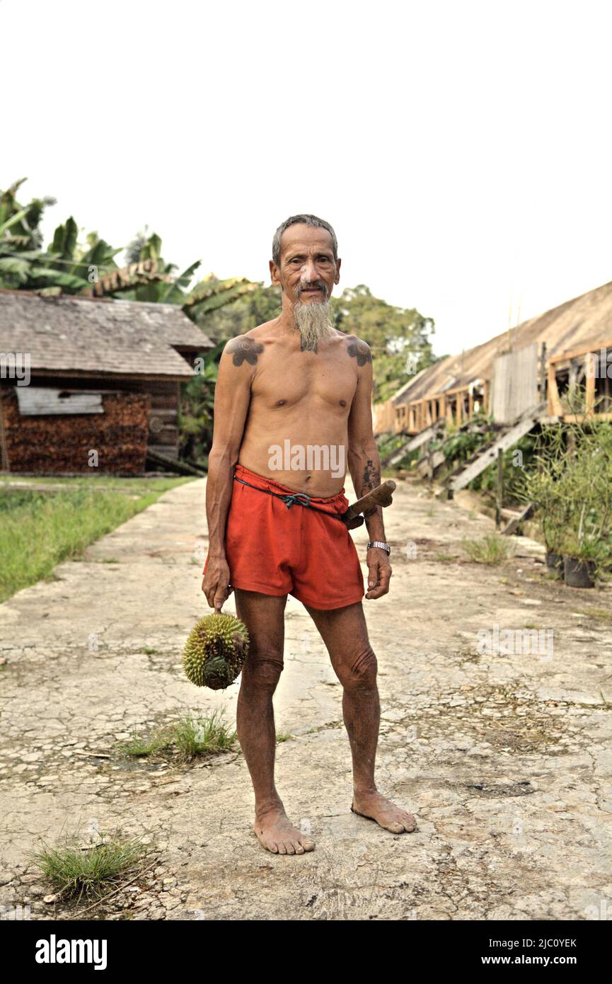 Porträt von Bandi Anak Ragai, bekannt als „Apai Janggut“, einem kultigen Waldverteidiger, während er vor dem Langhaus der Dayak IBAN-Gemeinde in Batu Lintang, Embaloh Hulu, Kapuas Hulu, West Kalimantan, Indonesien steht. Stockfoto