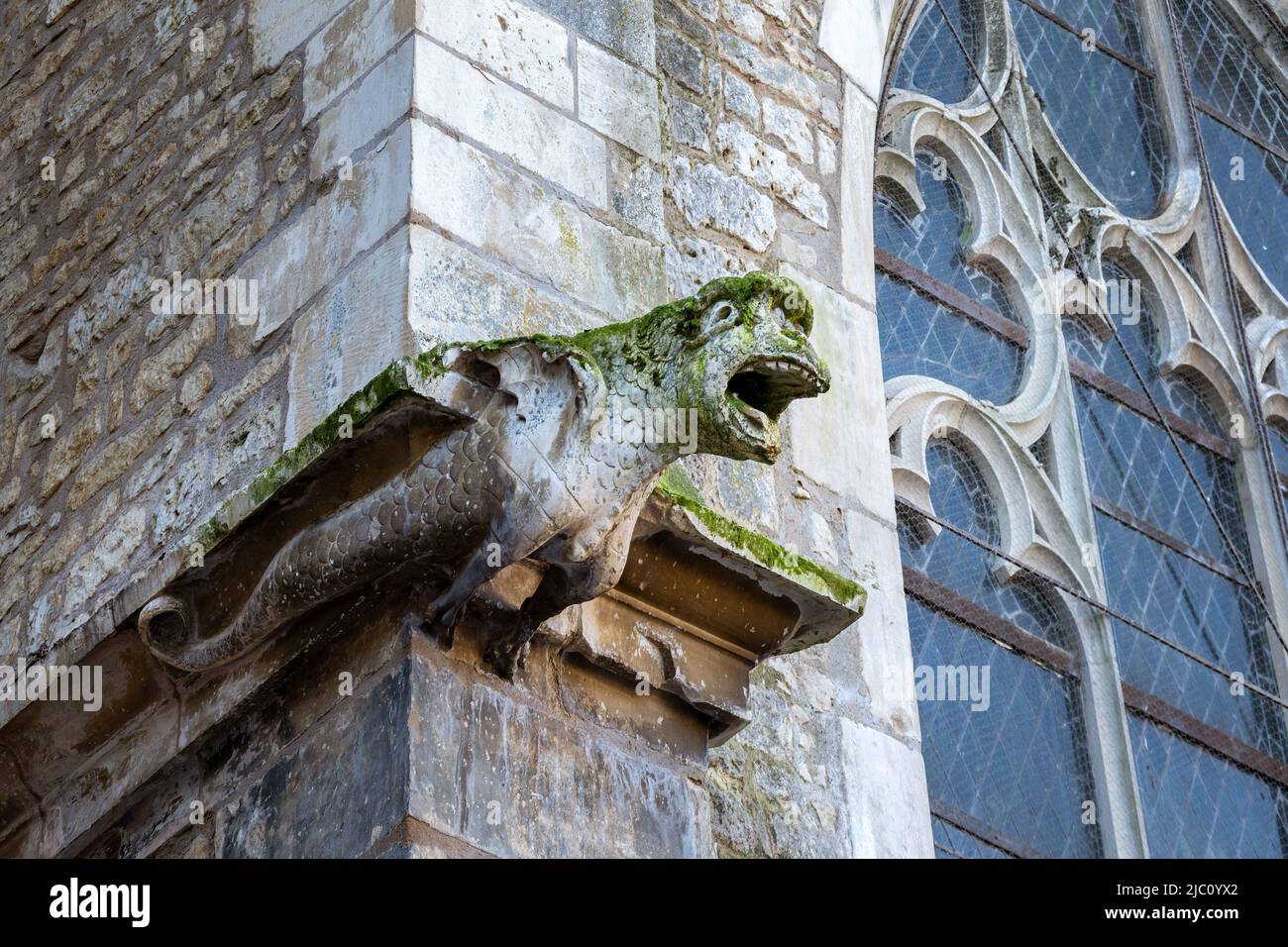 Gargoyle auf der Kirche des heiligen Johannes des Täufers in Chaource Aube, Frankreich Stockfoto