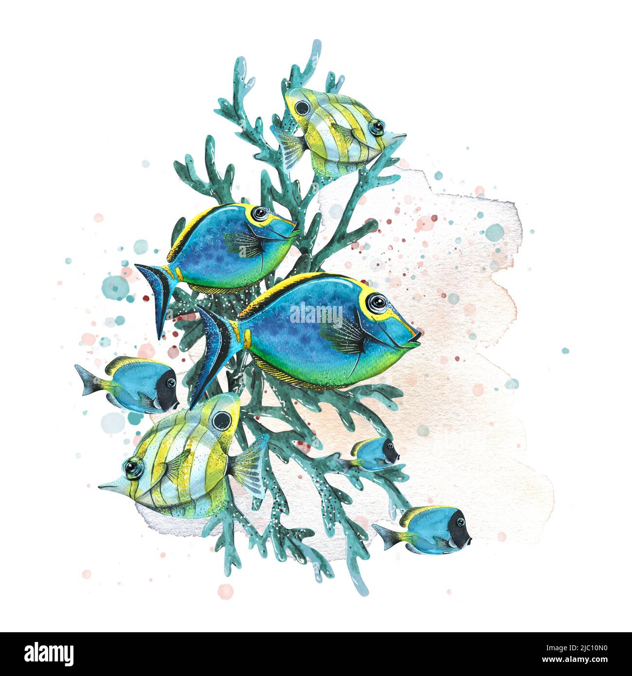 Tropische Fische sind unterschiedlich, hell mit Korallen, einem Fleck und Farbspritzern. Aquarelldarstellung. Komposition für die Gestaltung und Dekoration von Stockfoto