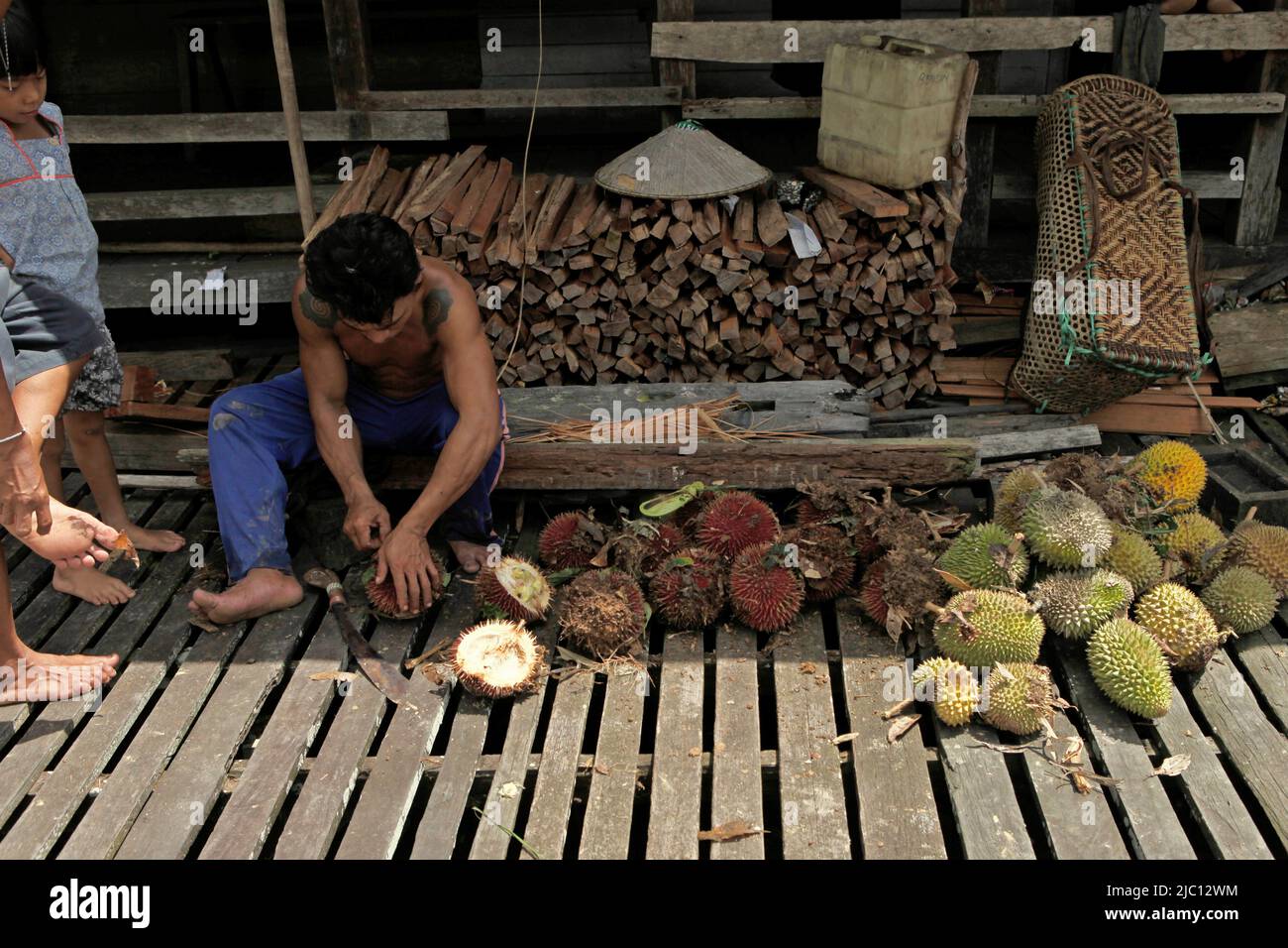 Ein Mann, der rote Durian-Früchte öffnet, die zusammen mit Duriern frisch geerntet werden, während er auf der Terrasse des Langhauses der traditionellen Dayak IBAN-Gemeinde in Sungai Utik, Batu Lintang, Embaloh Hulu, Kapuas Hulu, West Kalimantan sitzt, Indonesien. Stockfoto