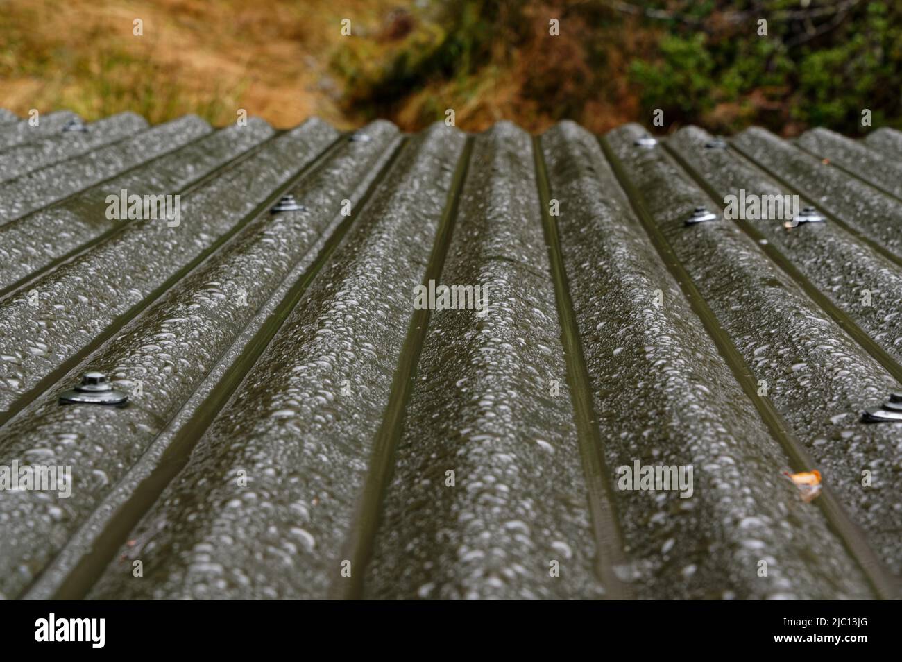 Regen fällt von einem Wellblechdach Stockfoto