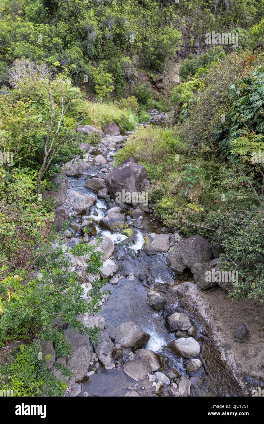 IAO Valley, klarer Bach mit inmitten tropischer Vegetation, USA, Hawaii, IAO Valley State Park Stockfoto