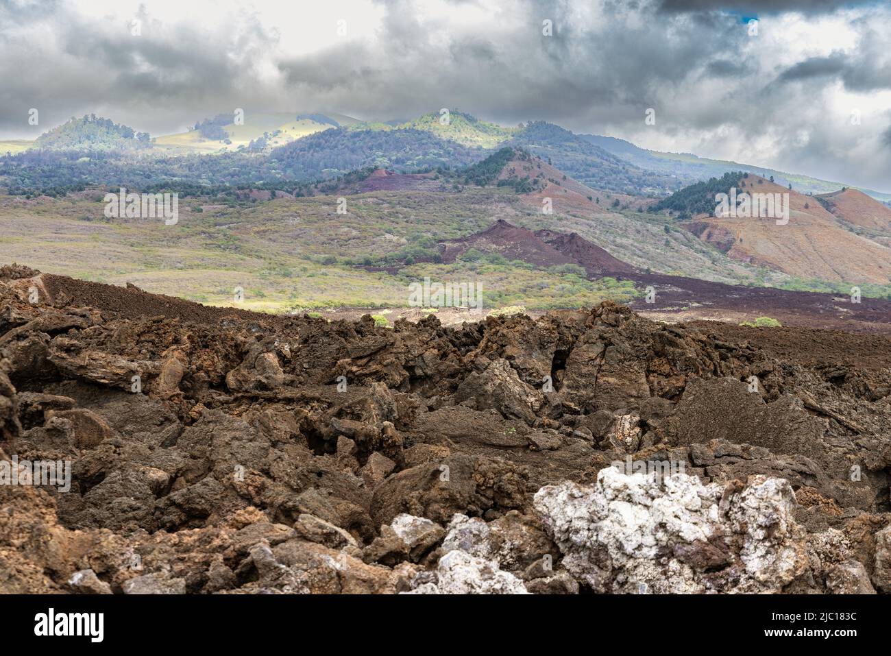 Erstarrte Lava des Schildvulkans Haleakala in vulkanischer Landschaft, USA, Hawaii, Maui Stockfoto
