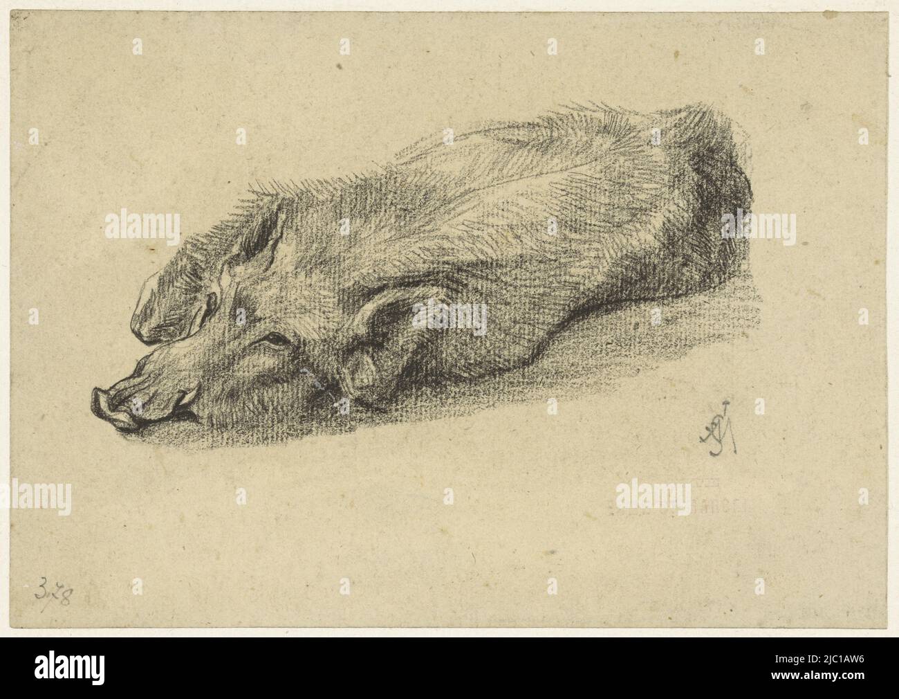 Liegendes Schwein, Kopf nach links, Zeichner: Charles Edmé Saint-Marcel-Cabin, 1829 - 1890, Papier, H 144 mm × B 203 mm Stockfoto