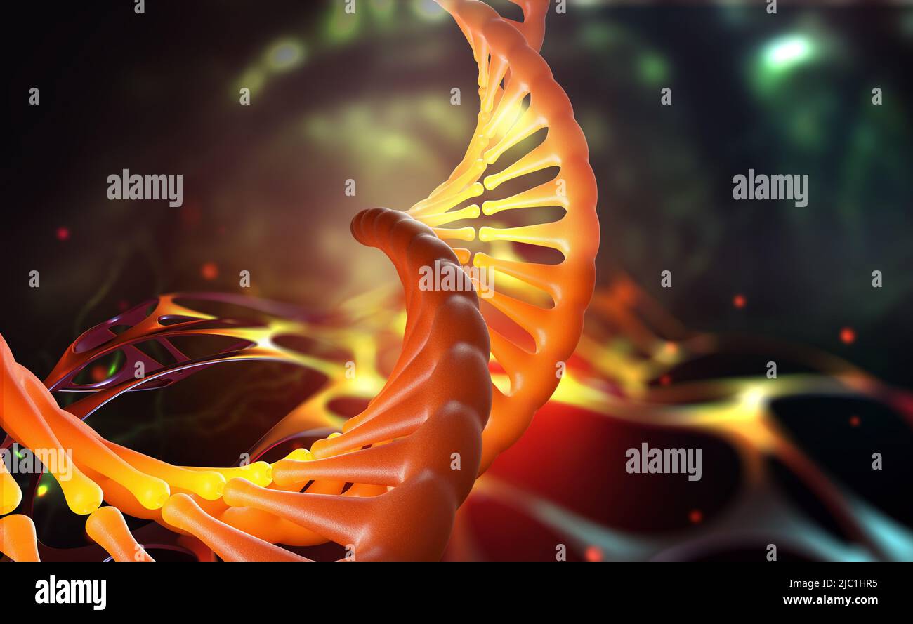 DNA-Molekül, menschliches Genom, wissenschaftliche Forschung, Gencode. 3D Illustration einer DNA-Helix unter dem Mikroskop Stockfoto