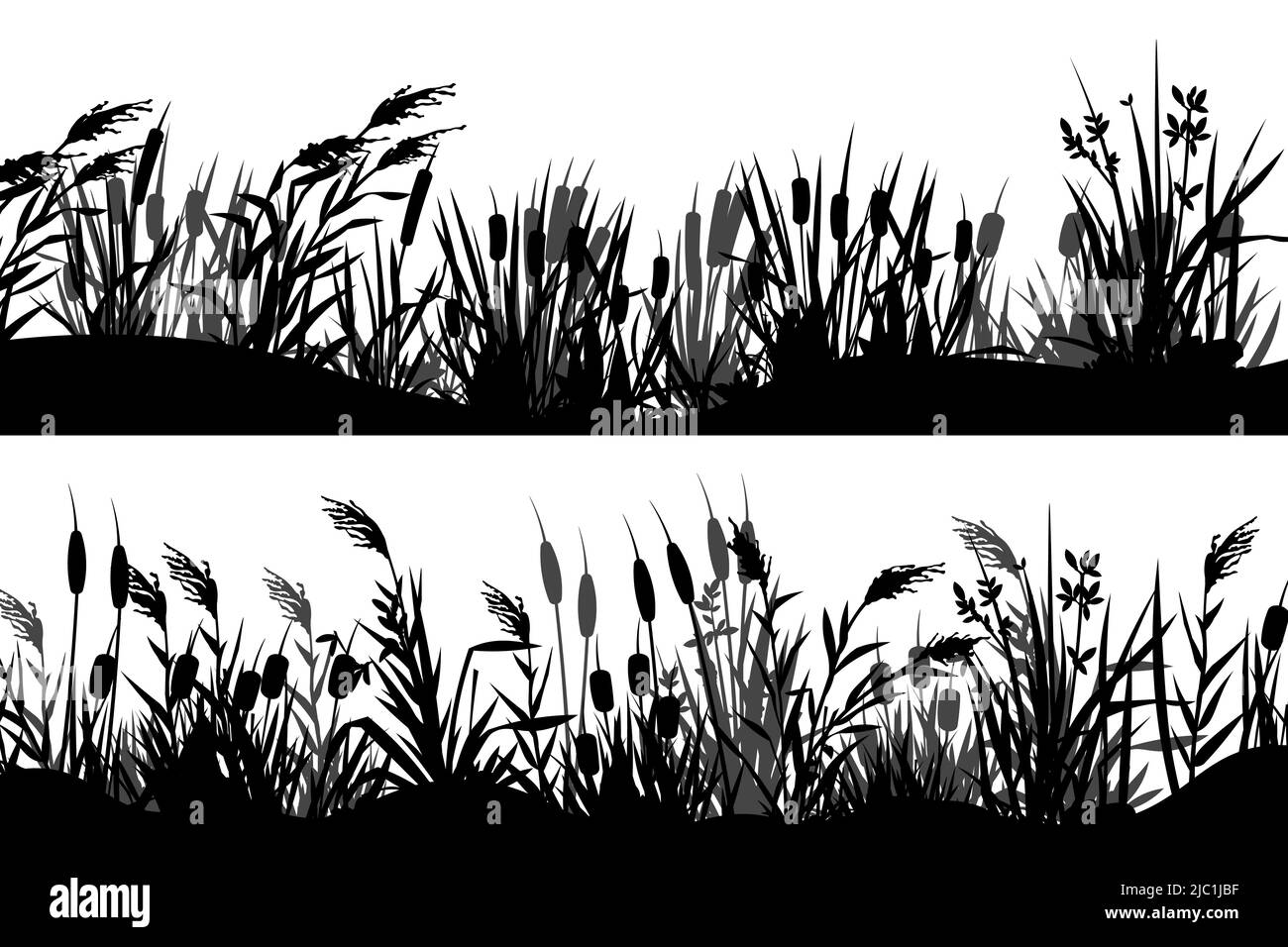 Reed-Silhouette. Schwarze Rohrschwanzgrasstreifen Grenze, Sumpflandschaft Vegetation horizontale Banner, Grasland Blick. Vektorparallaxen-Hintergrundelemente Stock Vektor