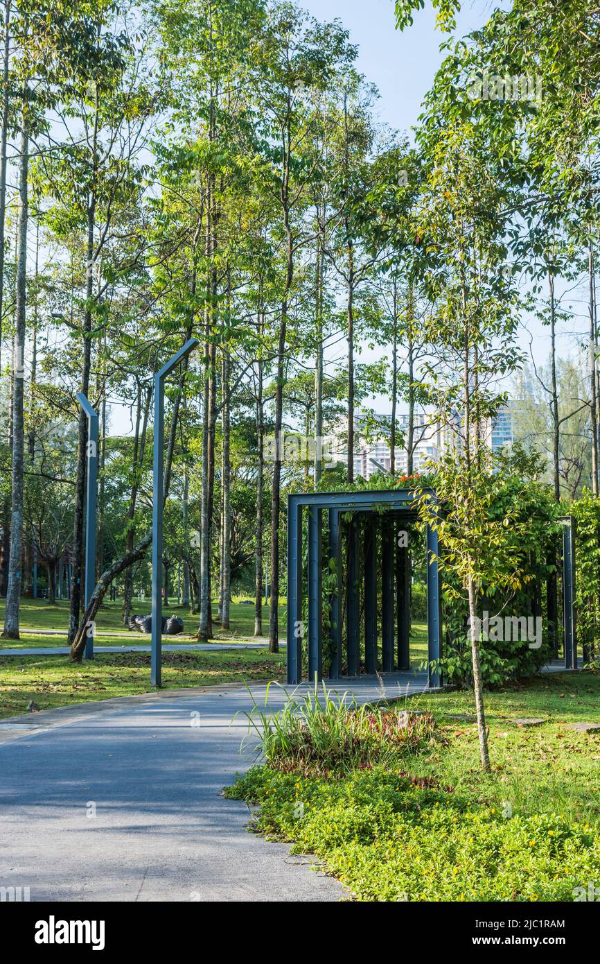 Wunderschöner Ausblick auf den Gehweg mit Pflanzen in den Titiwangsa Lake Gardens, Kuala Lumpur Malaysia. Stockfoto