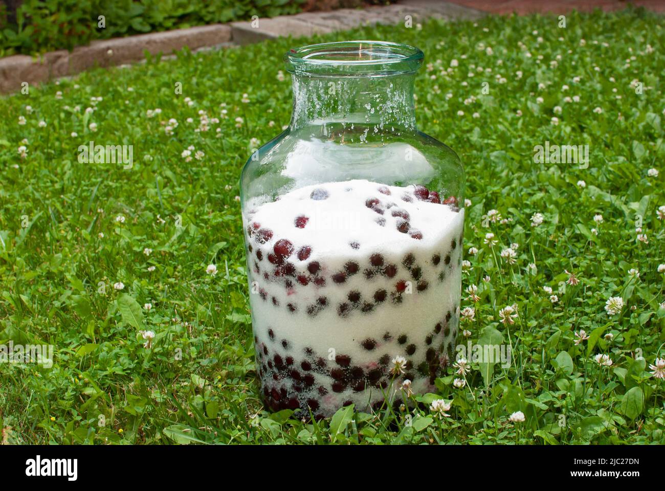 Glas mit eingeweichten Sauerkirschen zur Herstellung von hausgemachtem Likör Stockfoto