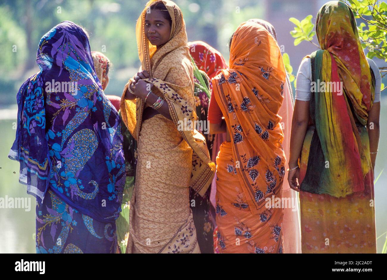 Bangladesch; Gruppe von Frauen, die die traditionellen Sari's tragen. Stockfoto