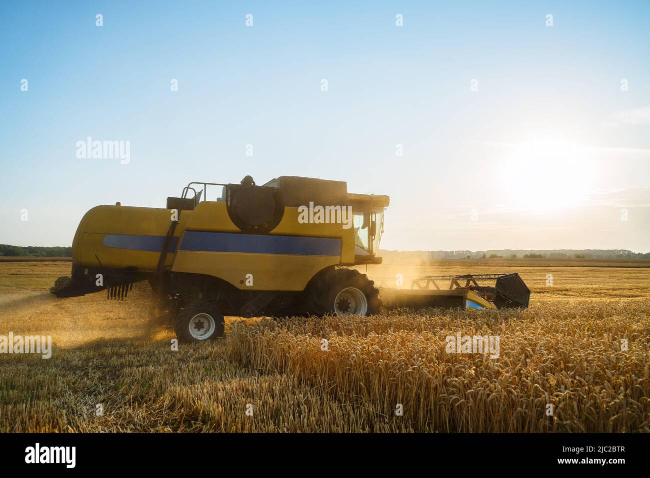Mähdrescher ernten reifen Weizen. Reife Ähren gold Feld auf den Sonnenuntergang bewölkt orange Himmel Hintergrund. . Konzept für eine reiche Ernte. Landwirtschaft Stockfoto
