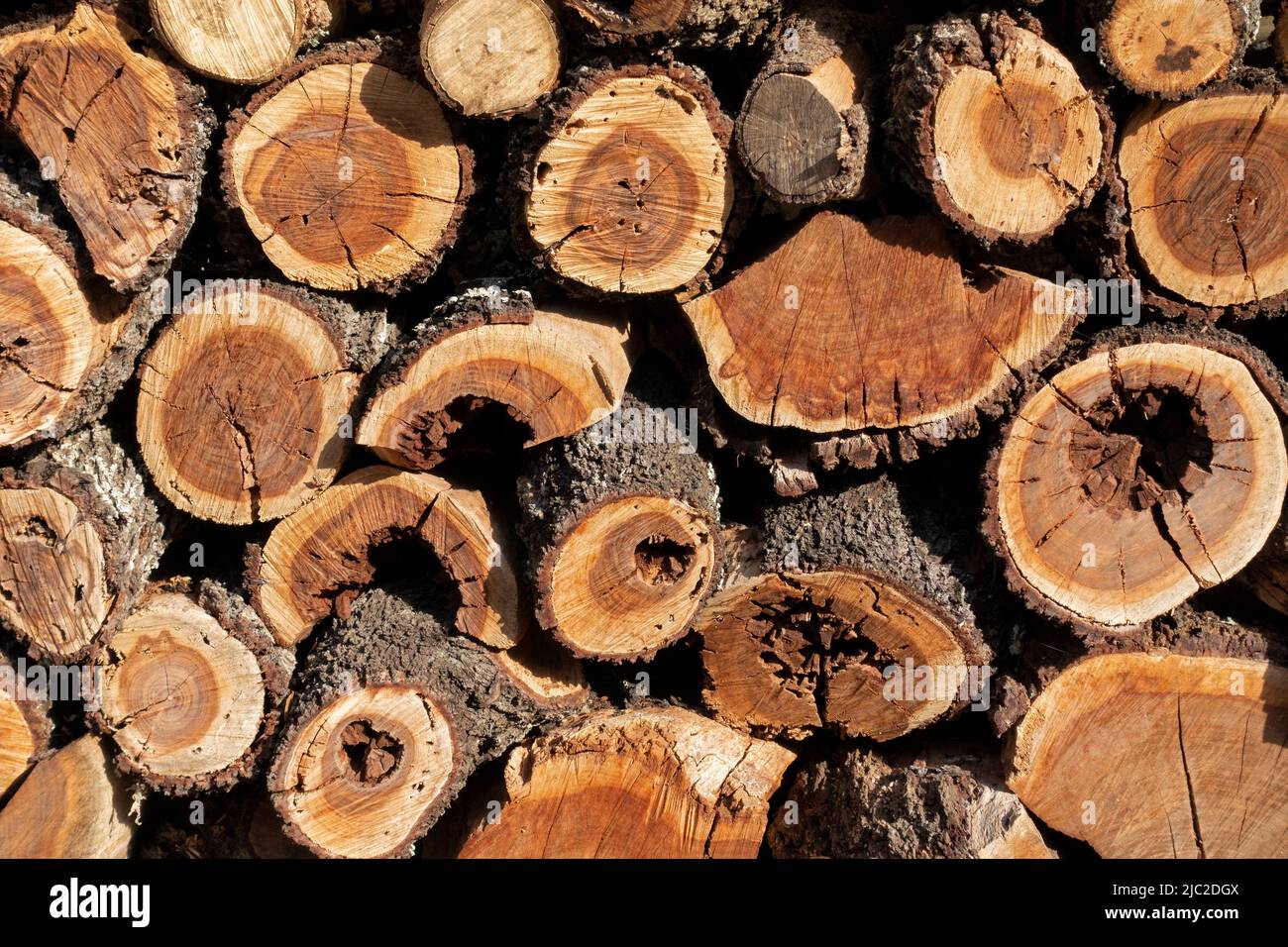 Haufen von Holz Stockfoto