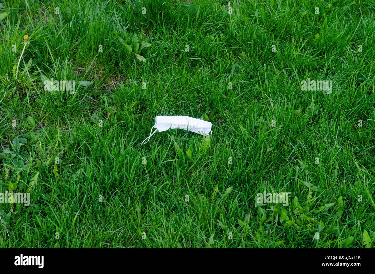 Weggeworfene medizinische Maske auf Gras. Umweltverschmutzung nach einer Coronavirus-Pandemie. Stockfoto
